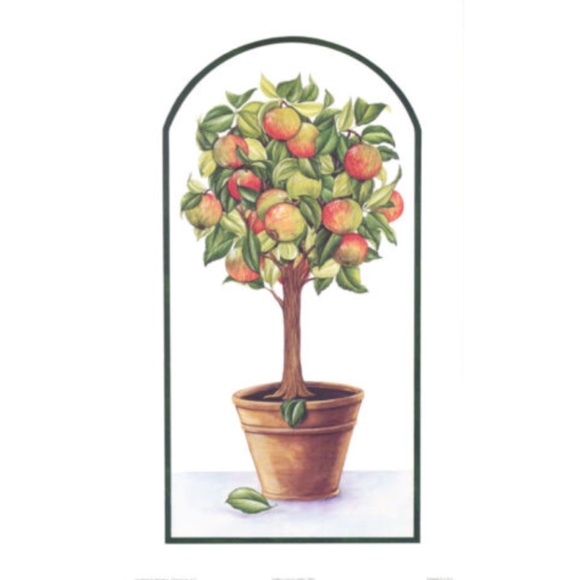 Fruit Tree Prints Terra Cotta Lemon Plum Apple Pear 7 1/2 x 13 - Picture 4 of 4